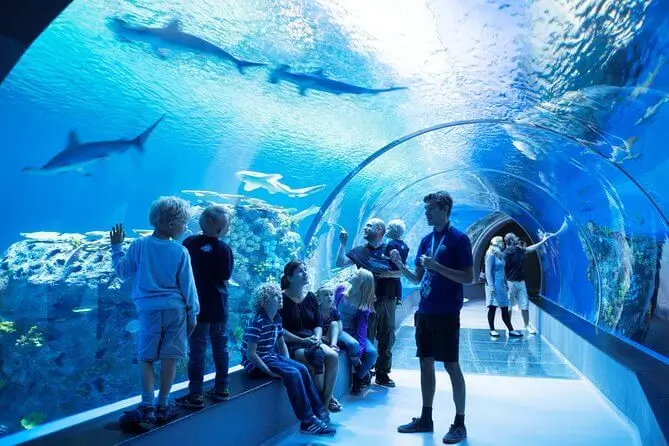 The National Aquarium (GROUP BOOKING)