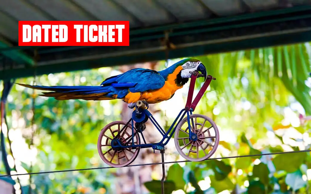 Bird Show Creek Park (DATED)