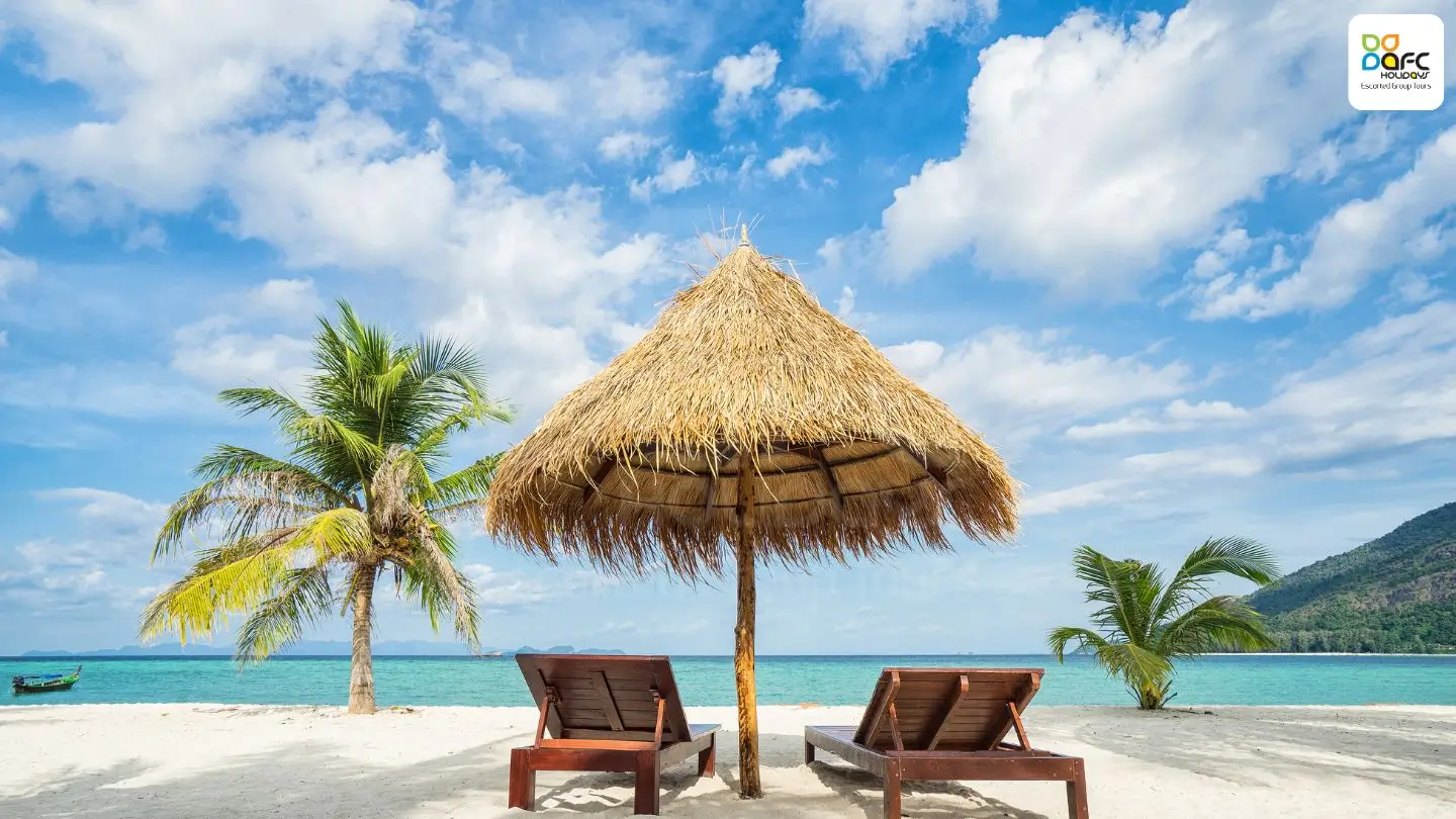 Travelers on Seychelles Tour Packages from Dubai