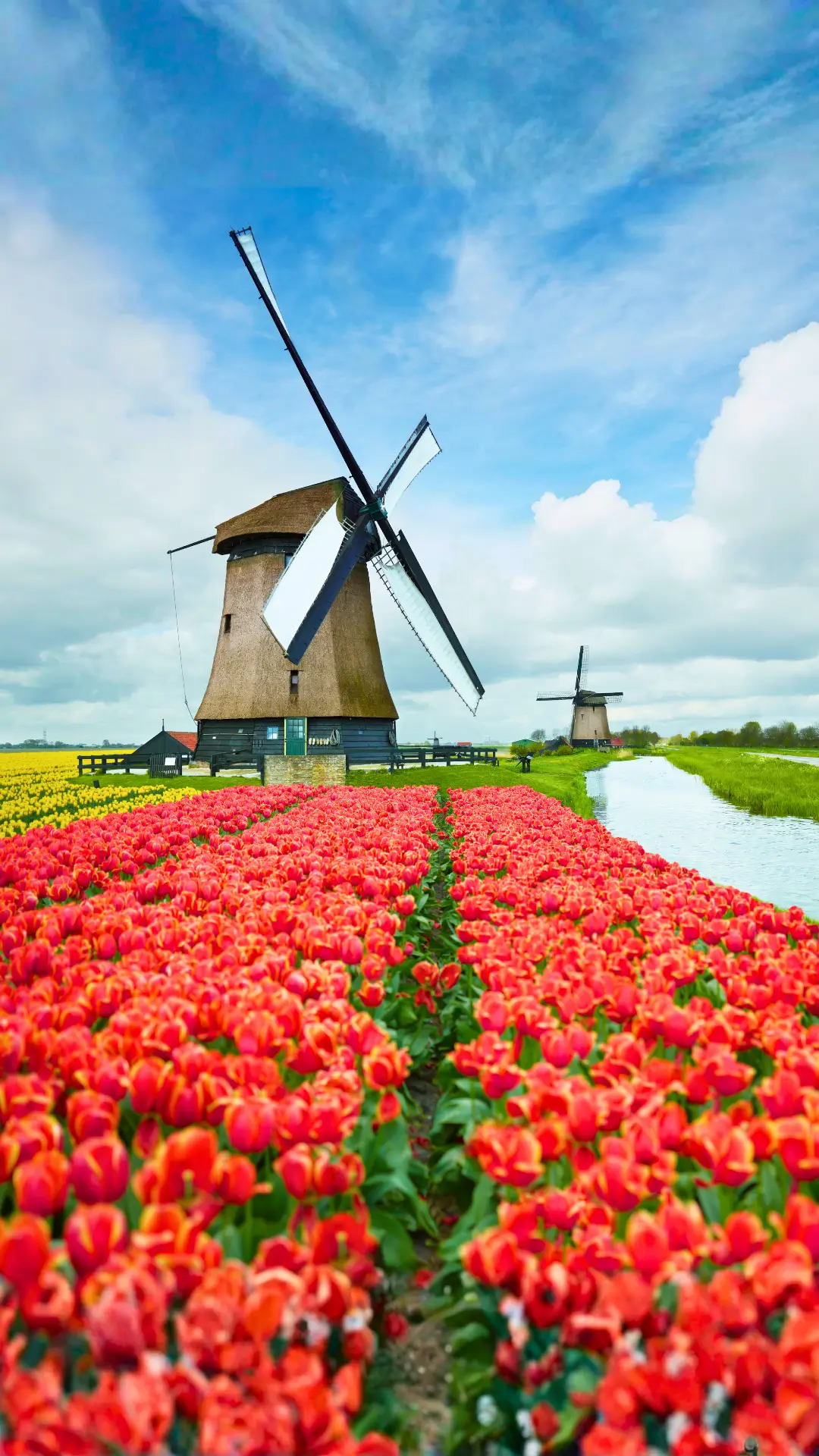 Amsterdam canals and traditional Dutch architecture