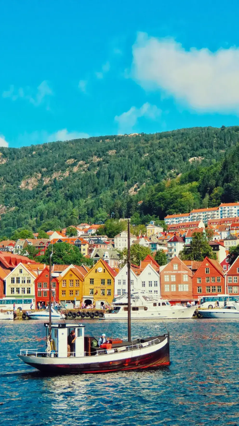Norway fjords